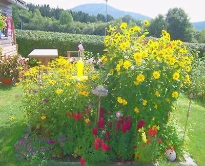Appartement Mit Terrasse, Garten Und Grill Bobrach Apartment