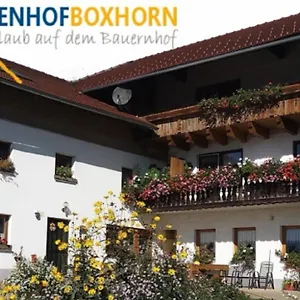 Woferlhof, Boxhorn Apartment